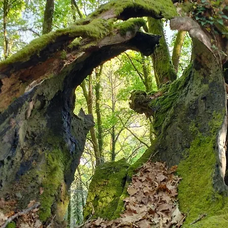 Casa vacanze A Calma