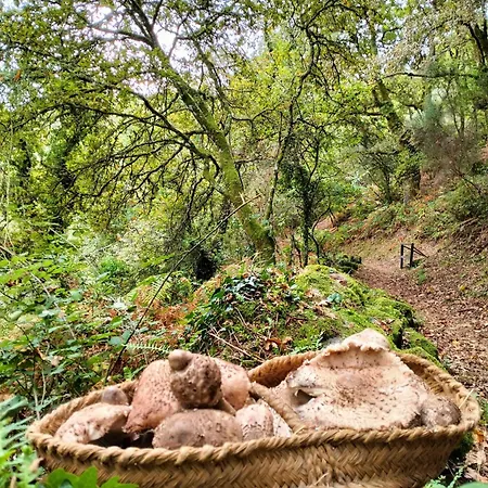 Casa vacanze A Calma *