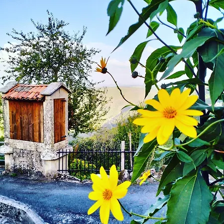 A Calma Paradela (Ourense)