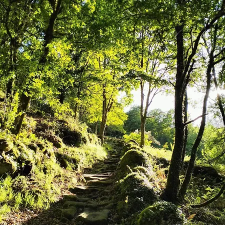 Casa vacanze A Calma Paradela (Ourense)