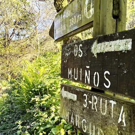 A Calma Casa vacanze Paradela (Ourense)