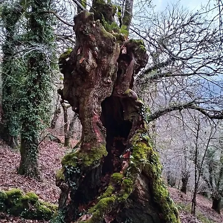 Casa vacanze A Calma Paradela (Ourense)