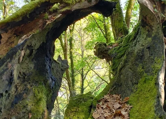 Dom wakacyjny A Calma