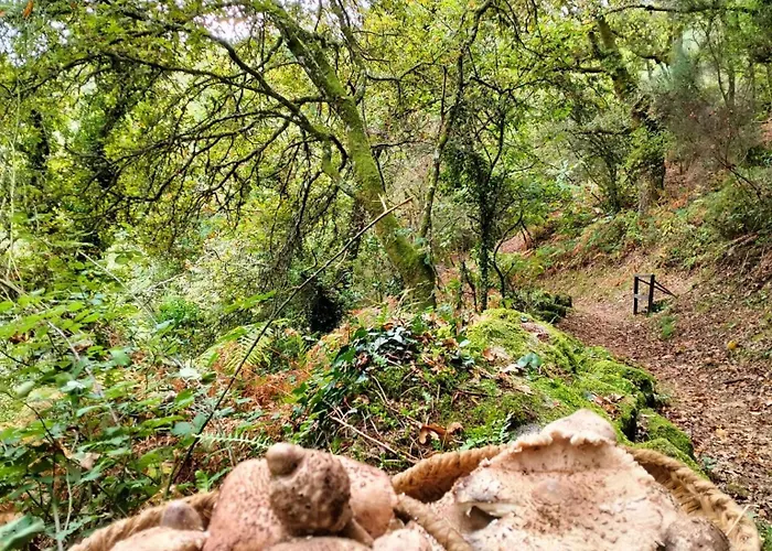 Dom wakacyjny A Calma *