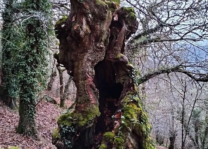 Dom wakacyjny A Calma Paradela (Ourense)